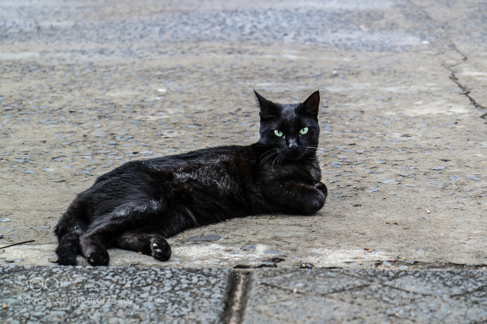 Canon EOS M3 sample photo. Mi favorito photography