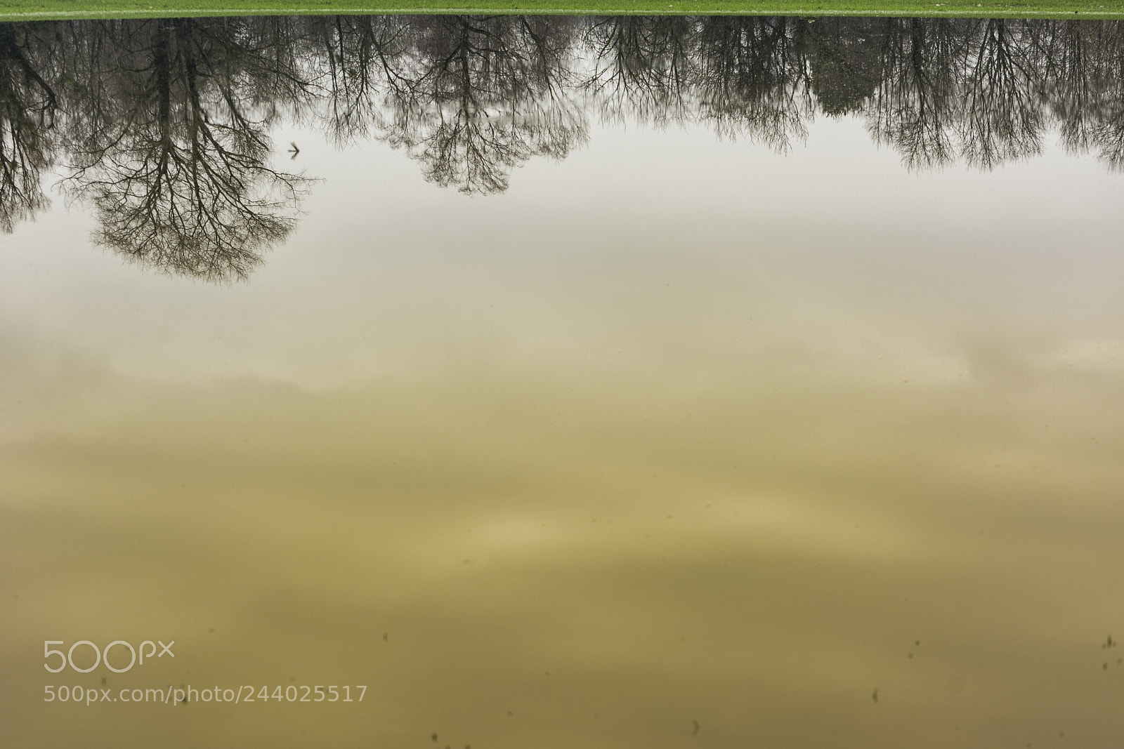 Nikon D7100 sample photo. Reflection photography