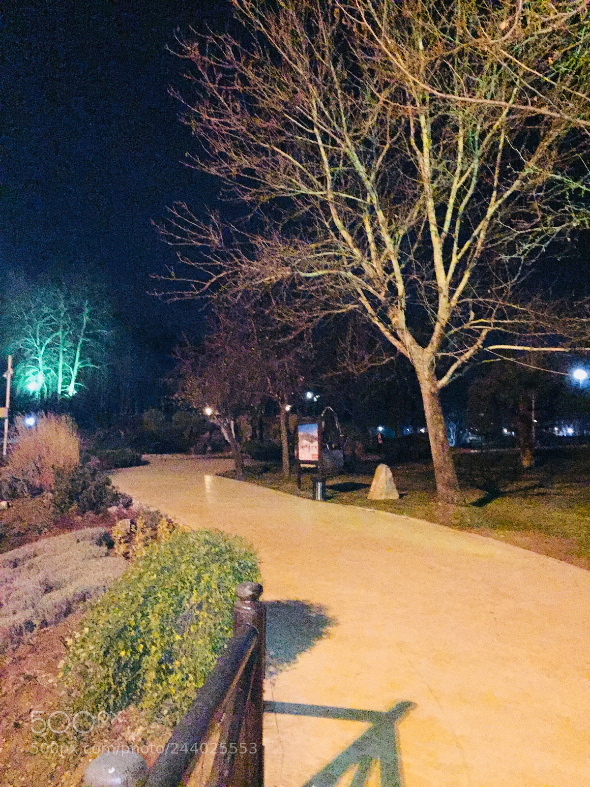 Apple iPhone 6 Plus sample photo. Untitled photography