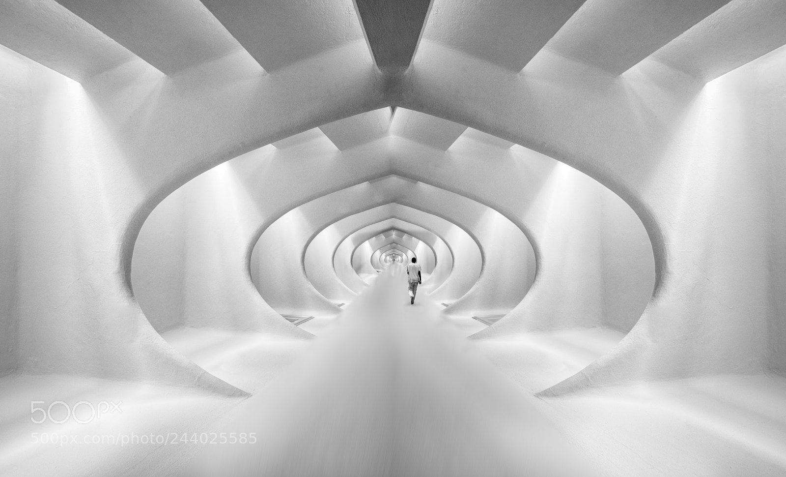 Nikon D800 sample photo. In the  tunnel photography