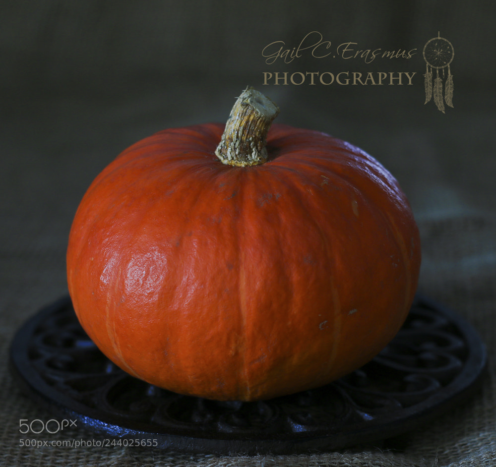 Canon EOS 70D sample photo. Cinder's pumpkin photography