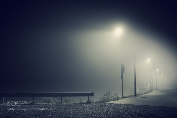 Sony a7R II sample photo. Untitled photography
