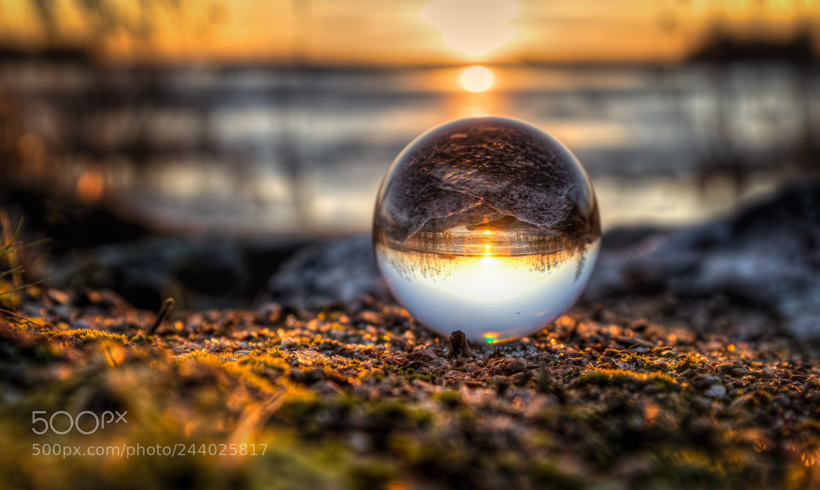 Nikon D850 sample photo. Crystal ball photography
