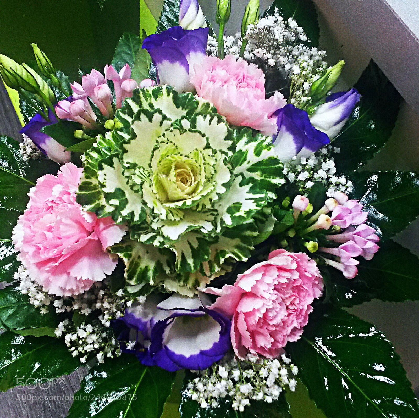 Samsung Galaxy S4 Mini sample photo. Untitled photography