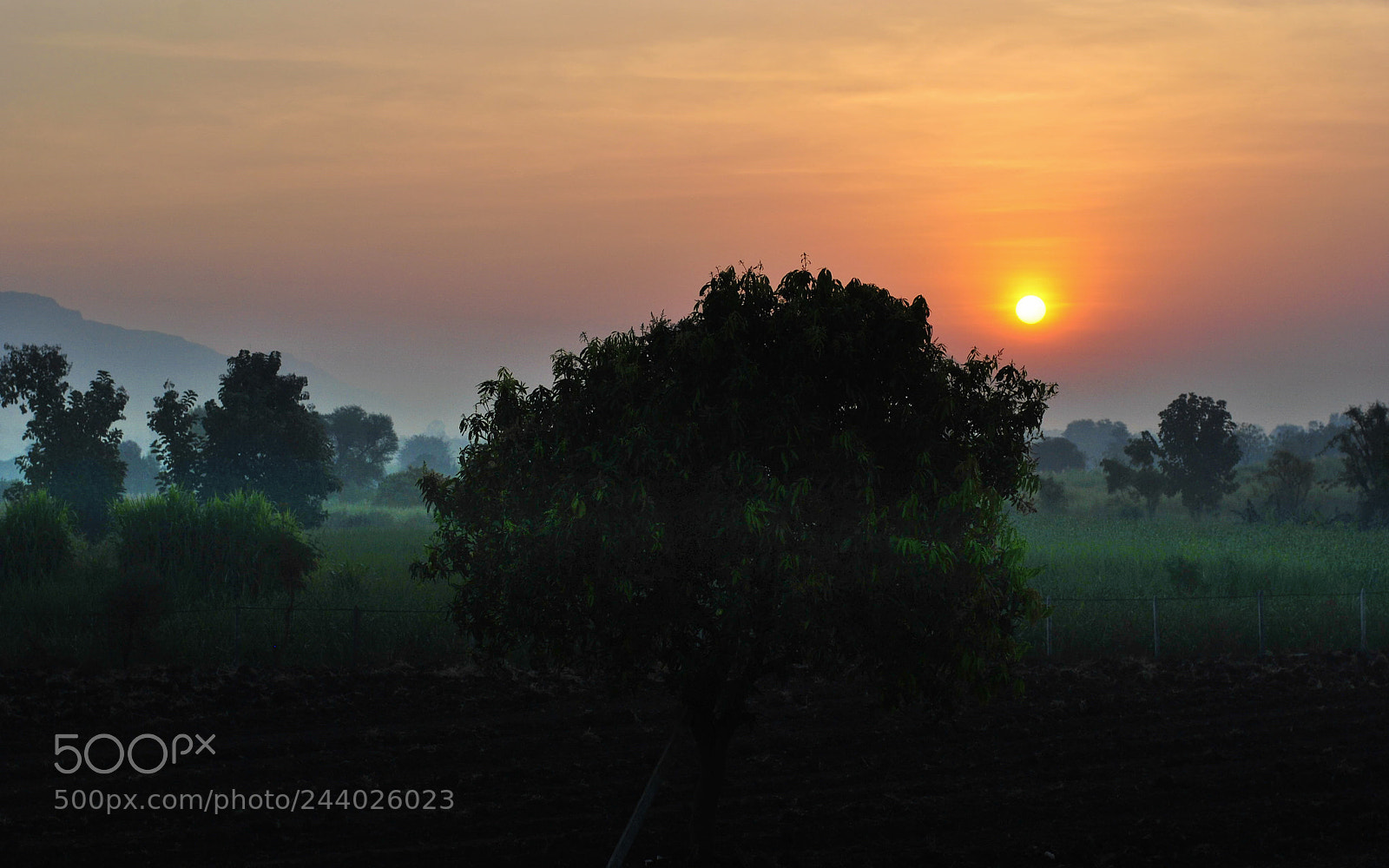 Nikon D3000 sample photo. Untitled photography