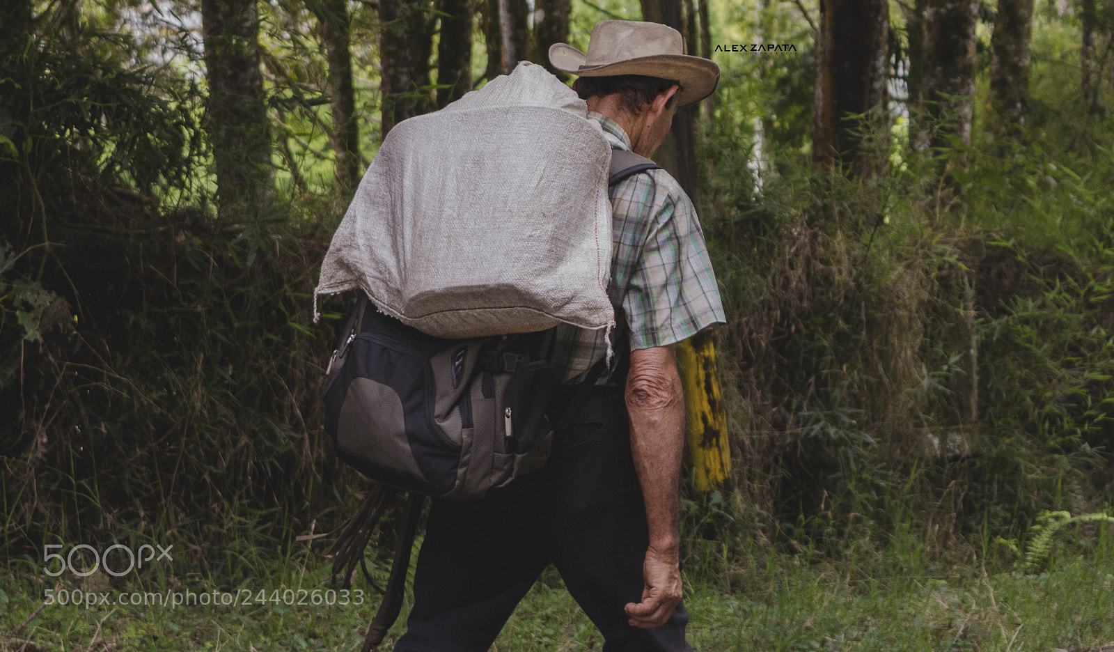 Nikon D3200 sample photo. Caficultor colombiano photography