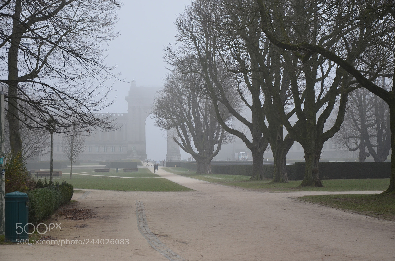Nikon D5100 sample photo. Fog photography