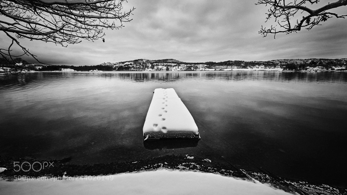 Fujifilm X-T1 sample photo. Det er ingen skam photography