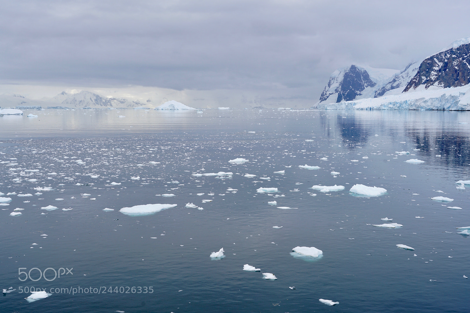 Sony a7R II sample photo. Antarctic horizon photography