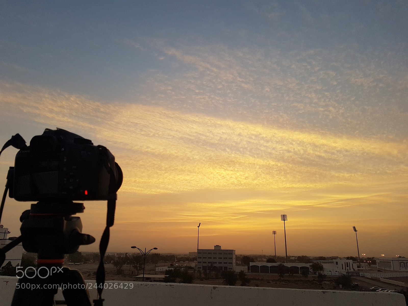 Samsung Galaxy S7 Edge sample photo. Untitled photography