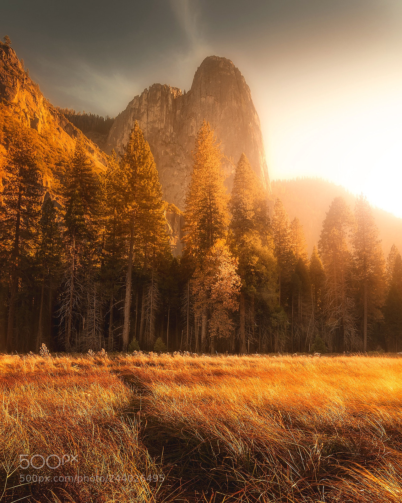 Nikon D500 sample photo. Yosemite valley. photography