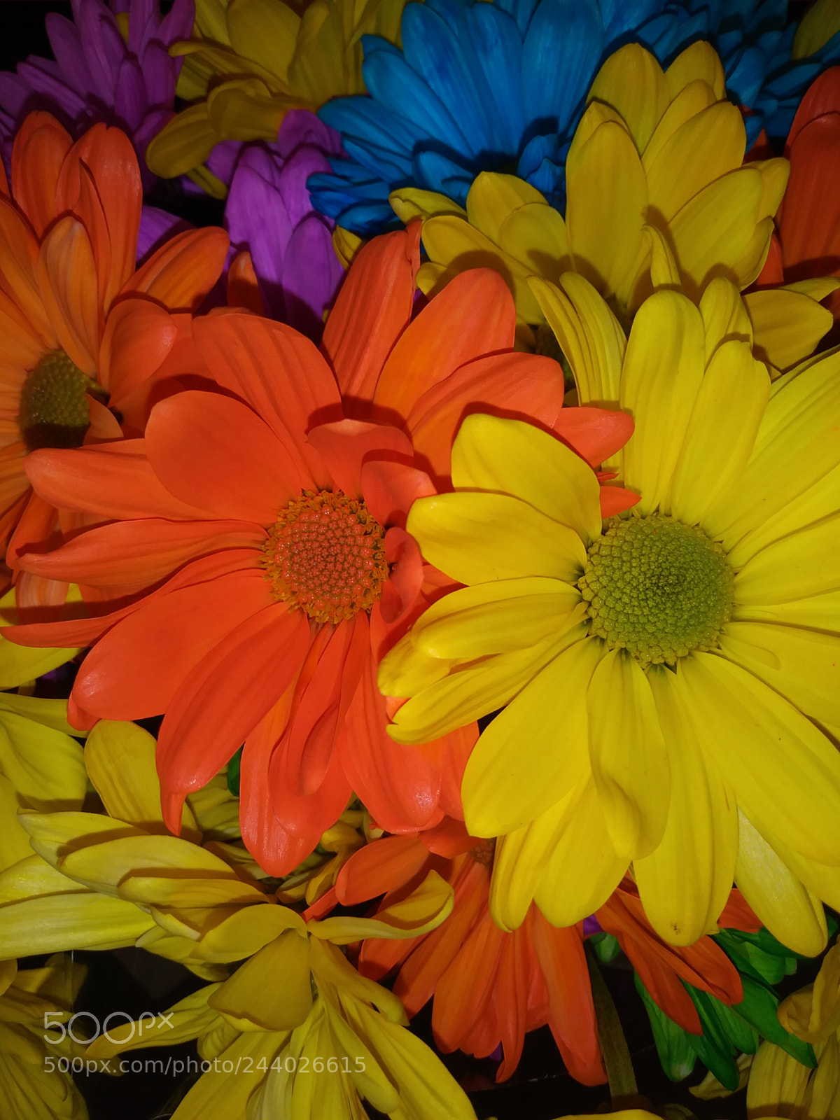 LG K20 PLUS sample photo. Untitled photography