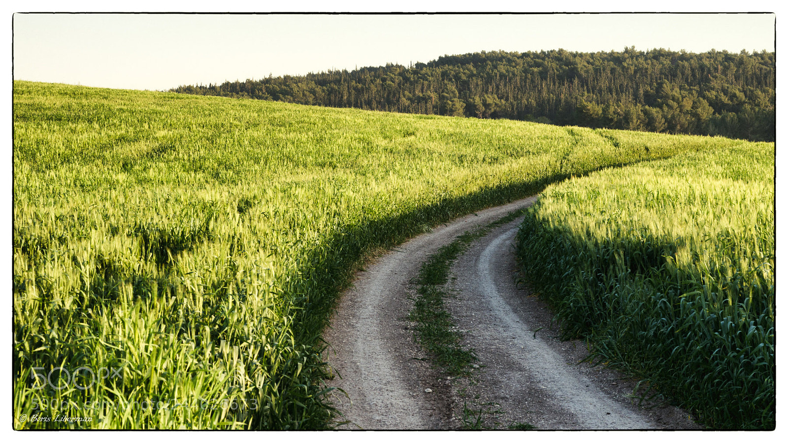 Pentax K-5 sample photo. The day will be photography