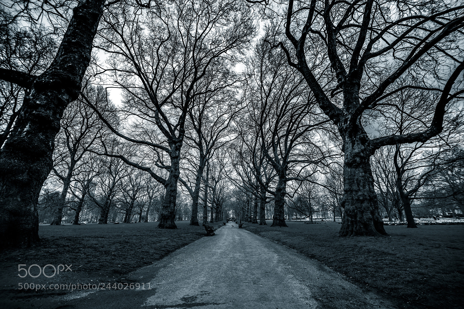 Sony a7R II sample photo. Parkway in london photography