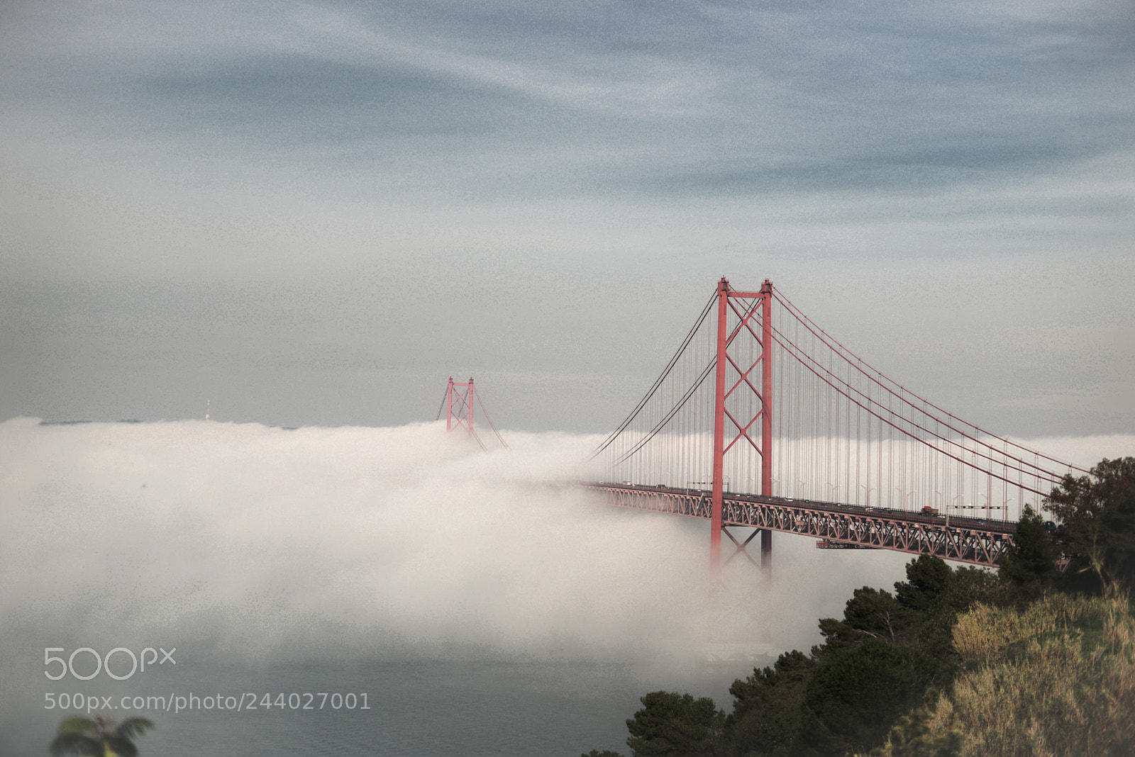 Nikon D600 sample photo. In the fog with photography