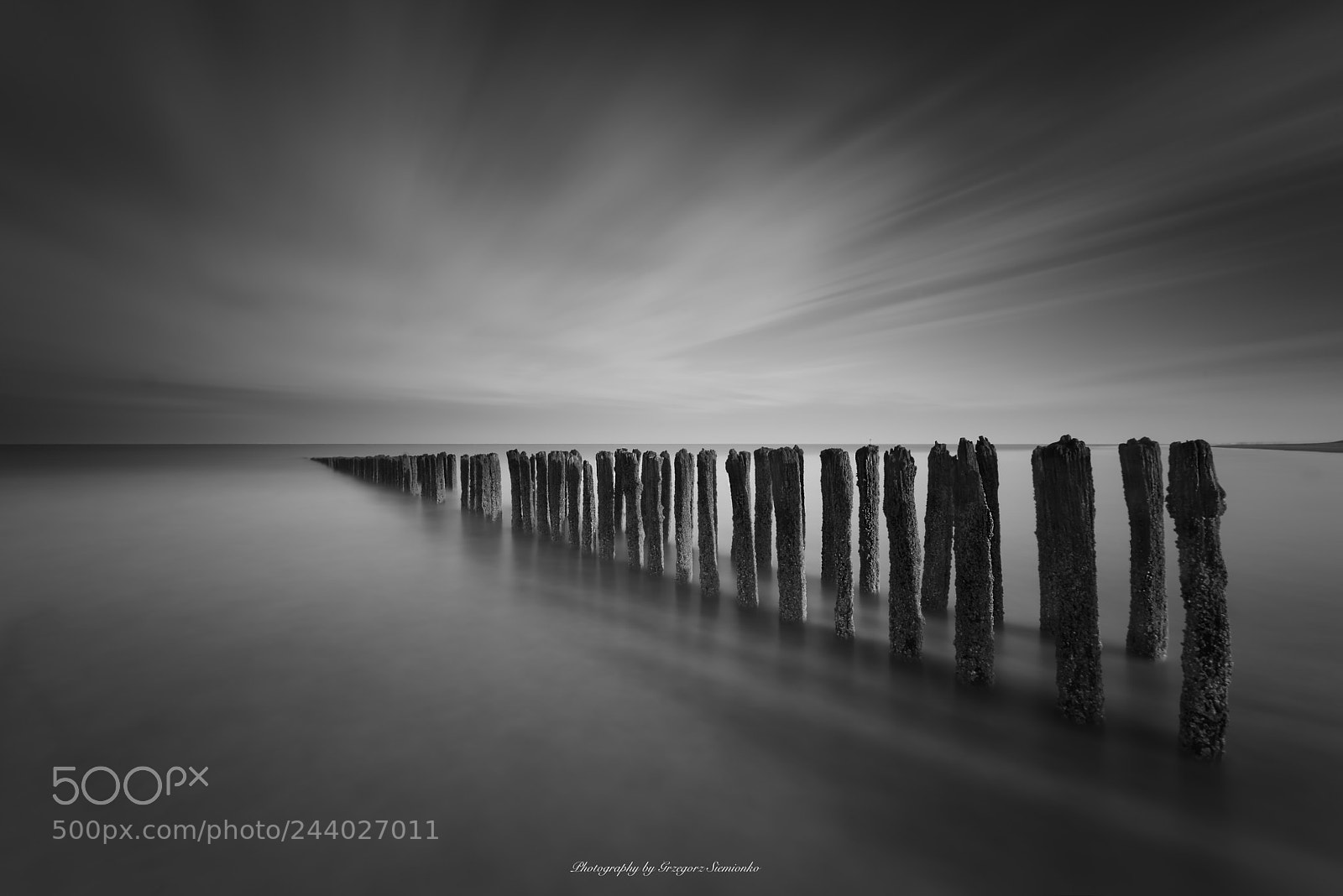Nikon D810 sample photo. North sea photography
