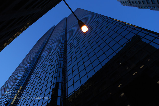 Nikon D60 sample photo. Td photography