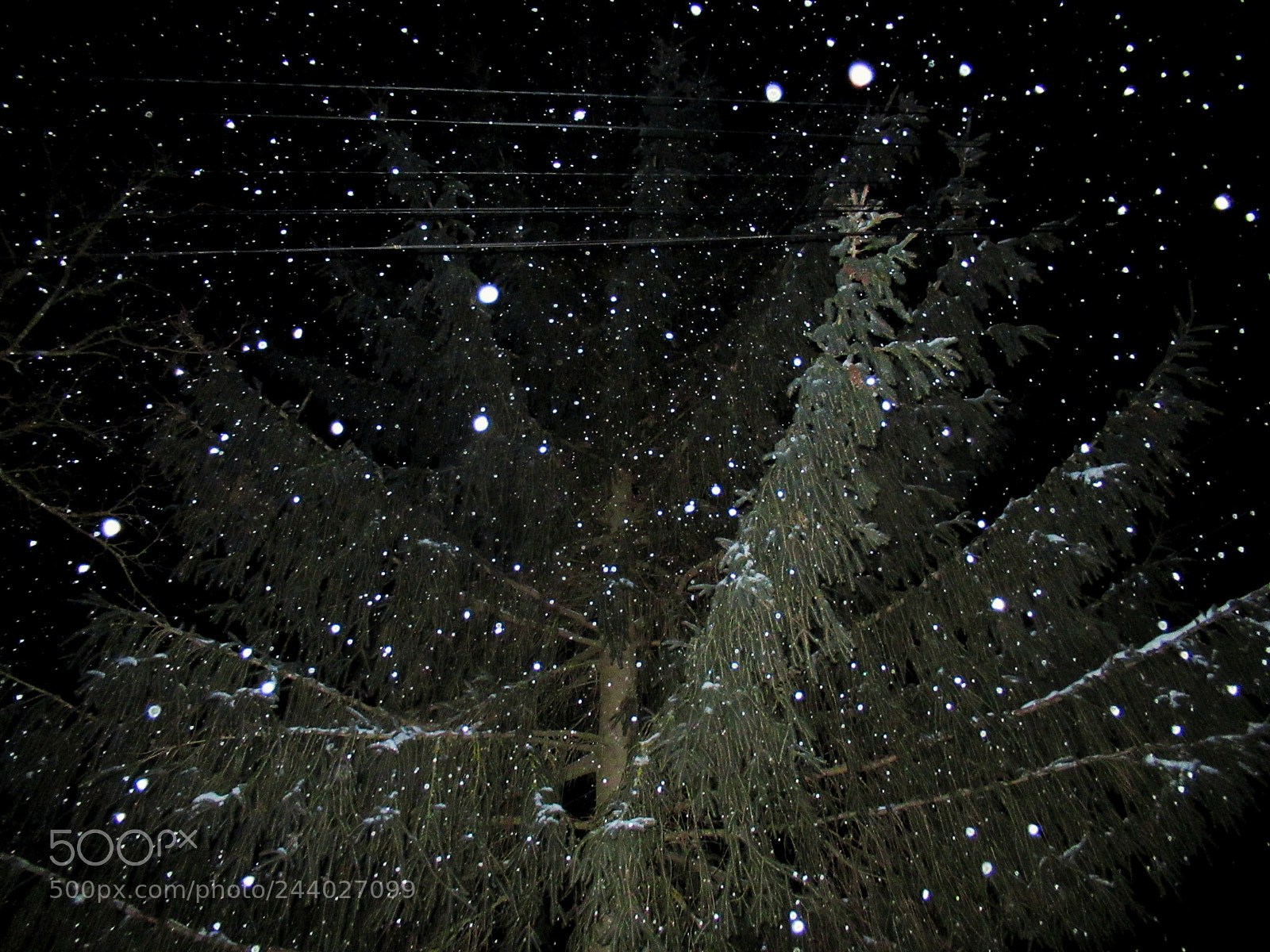 Canon PowerShot SX620 HS sample photo. Snowfall photography