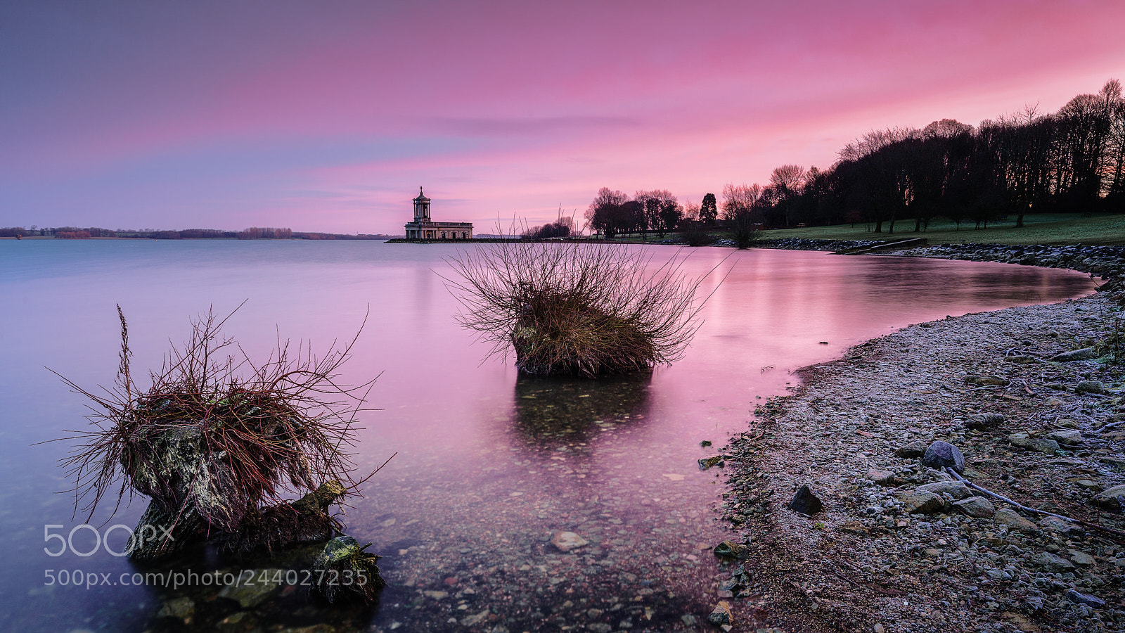 Sony a7 II sample photo. Two stumps photography