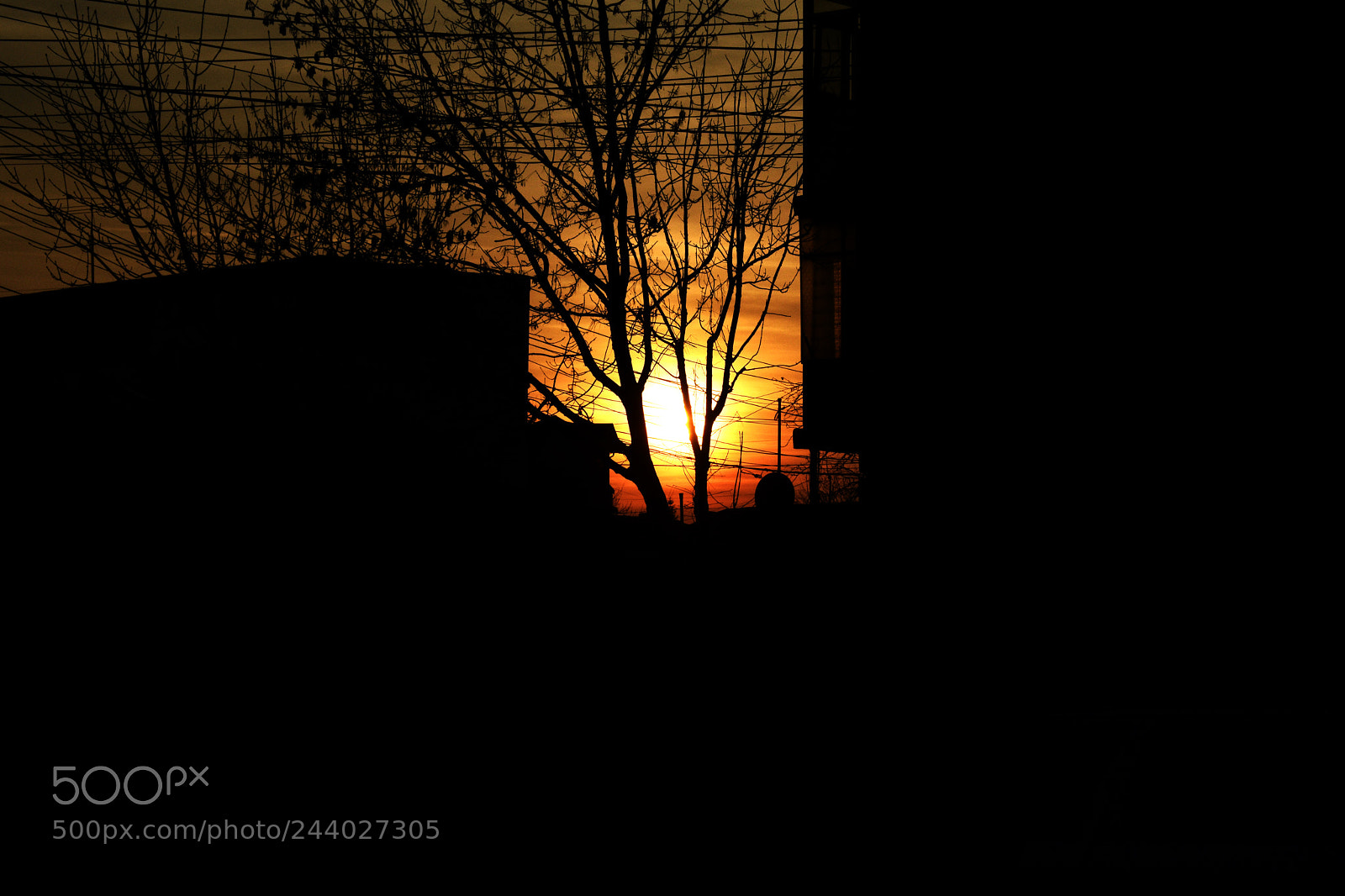 Nikon D3400 sample photo. Sun going down photography