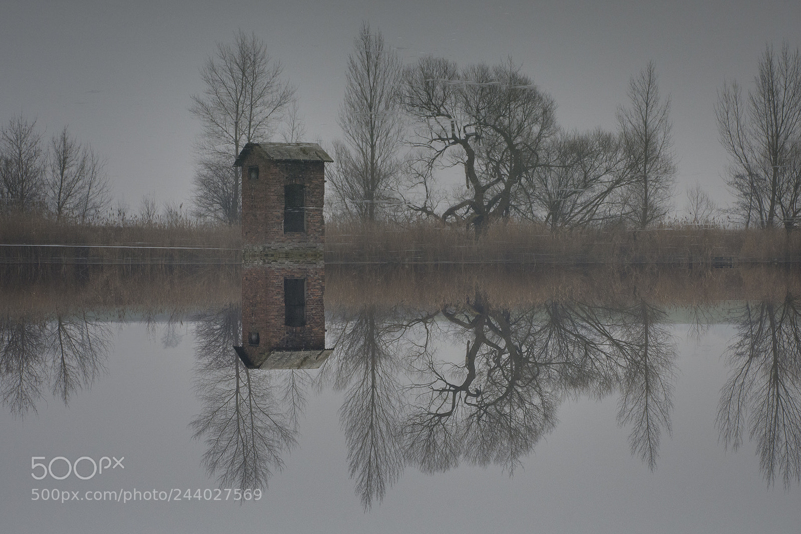 Nikon D7200 sample photo. Mirror photography