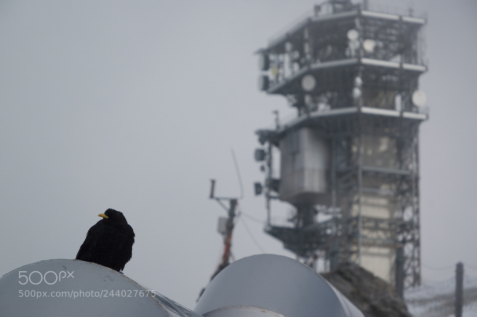 Nikon D70 sample photo. Titlis, switzerland photography