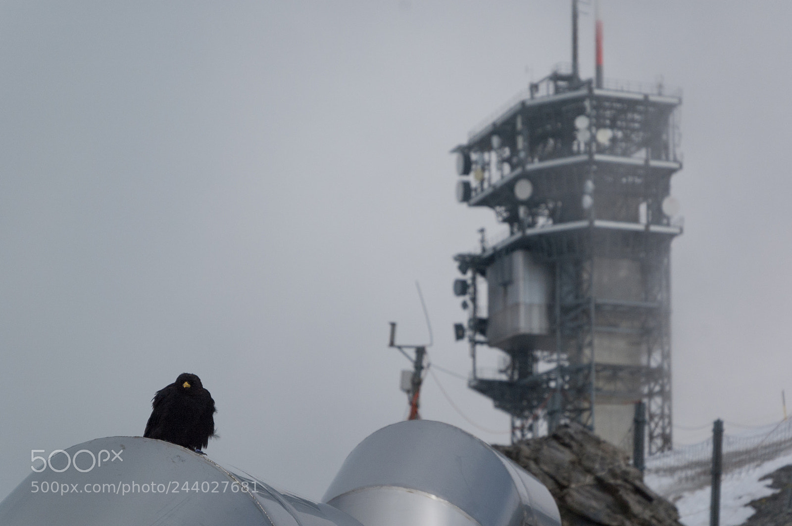 Nikon D70 sample photo. Titlis, switzerland photography