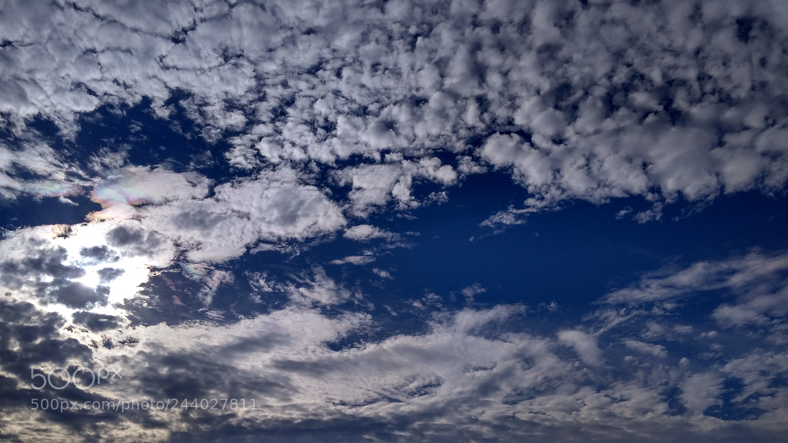 Xiaomi Redmi 4A sample photo. Untitled photography