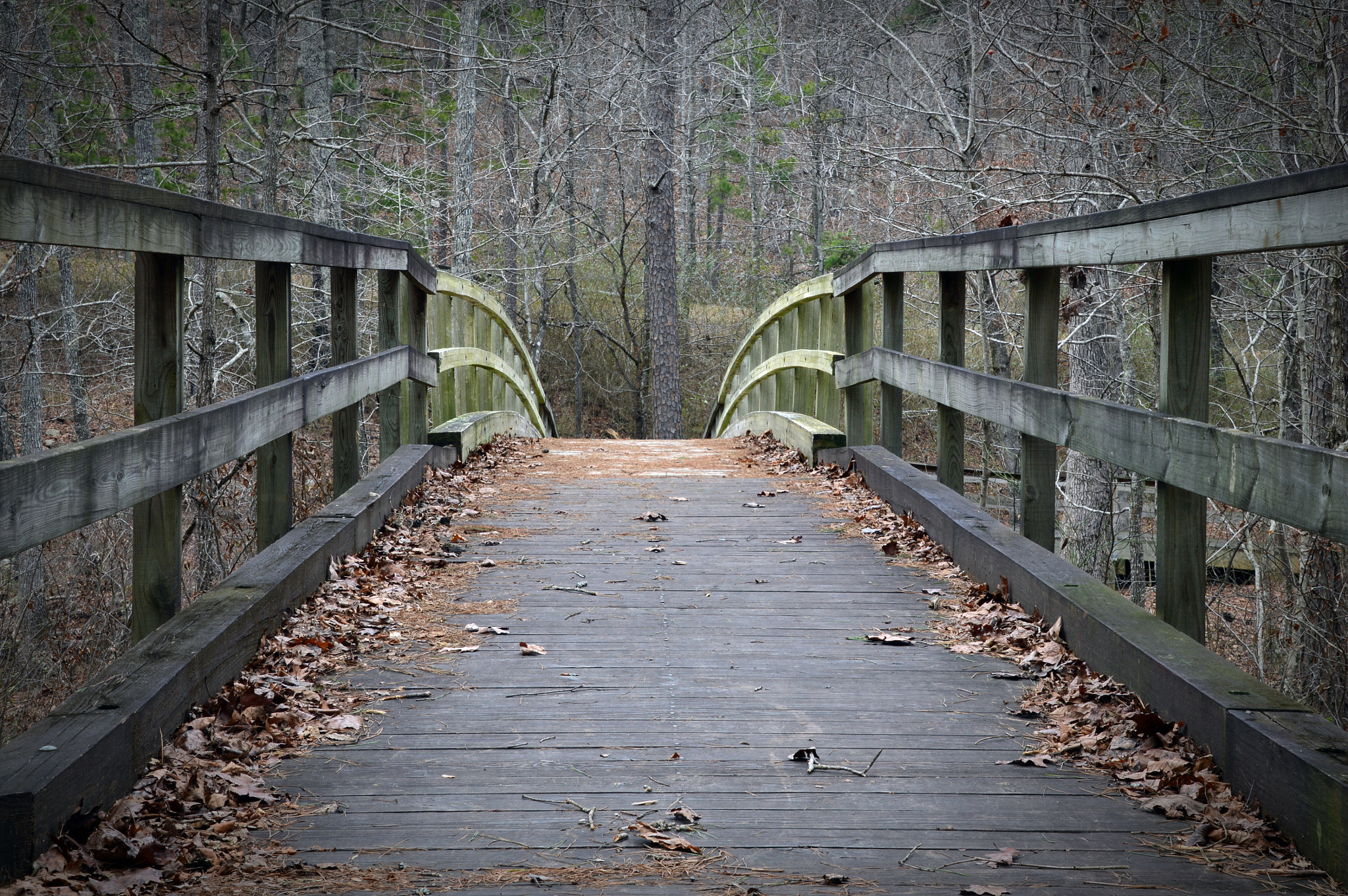 Nikon D3200 sample photo. Footbridge photography