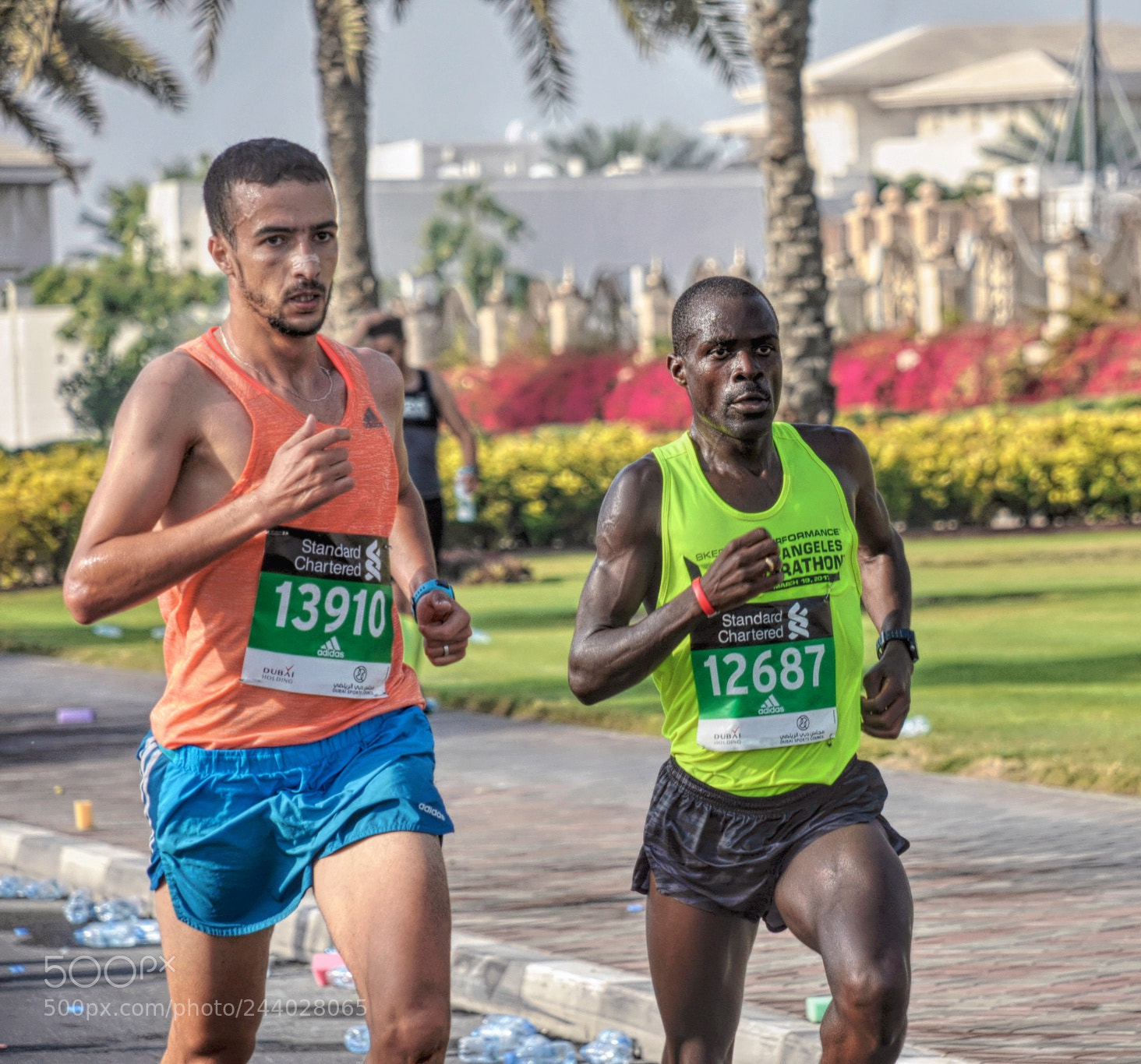 Nikon D90 sample photo. Run for win photography