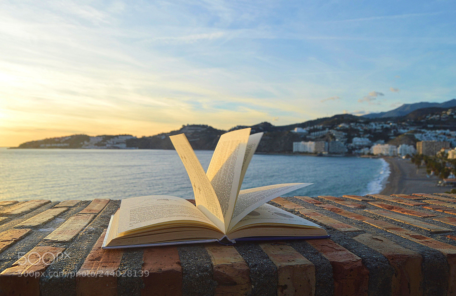 Nikon D3200 sample photo. Another book photography