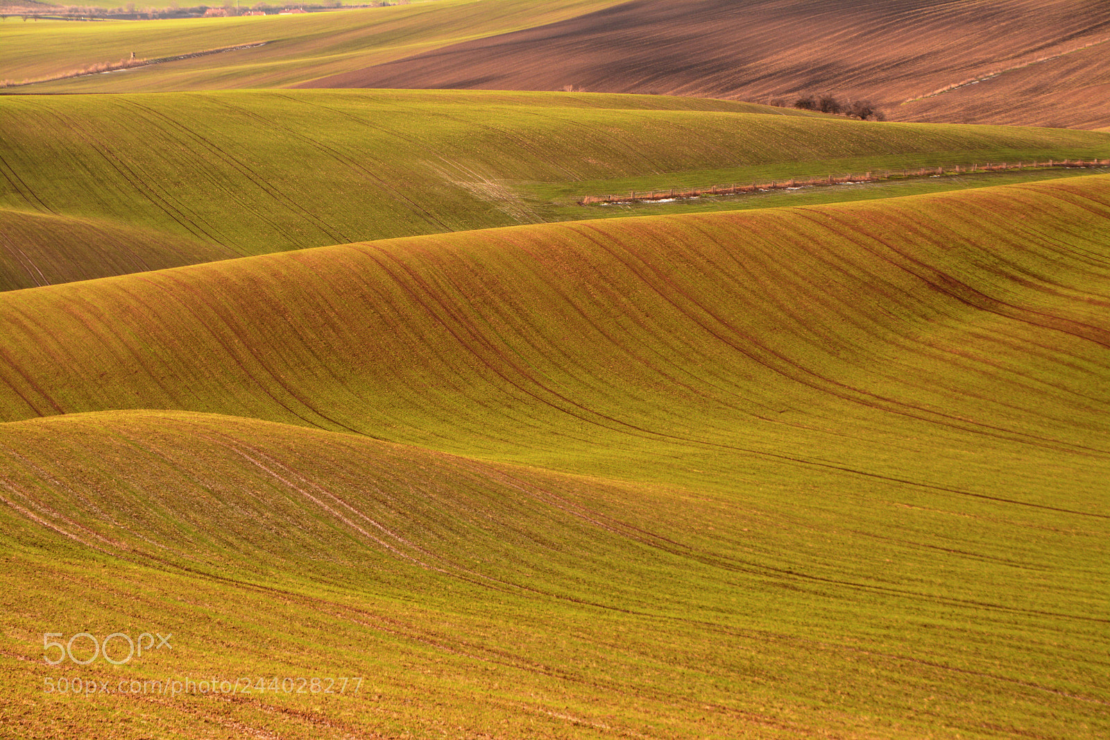 Nikon D7100 sample photo. In the moravian hills photography