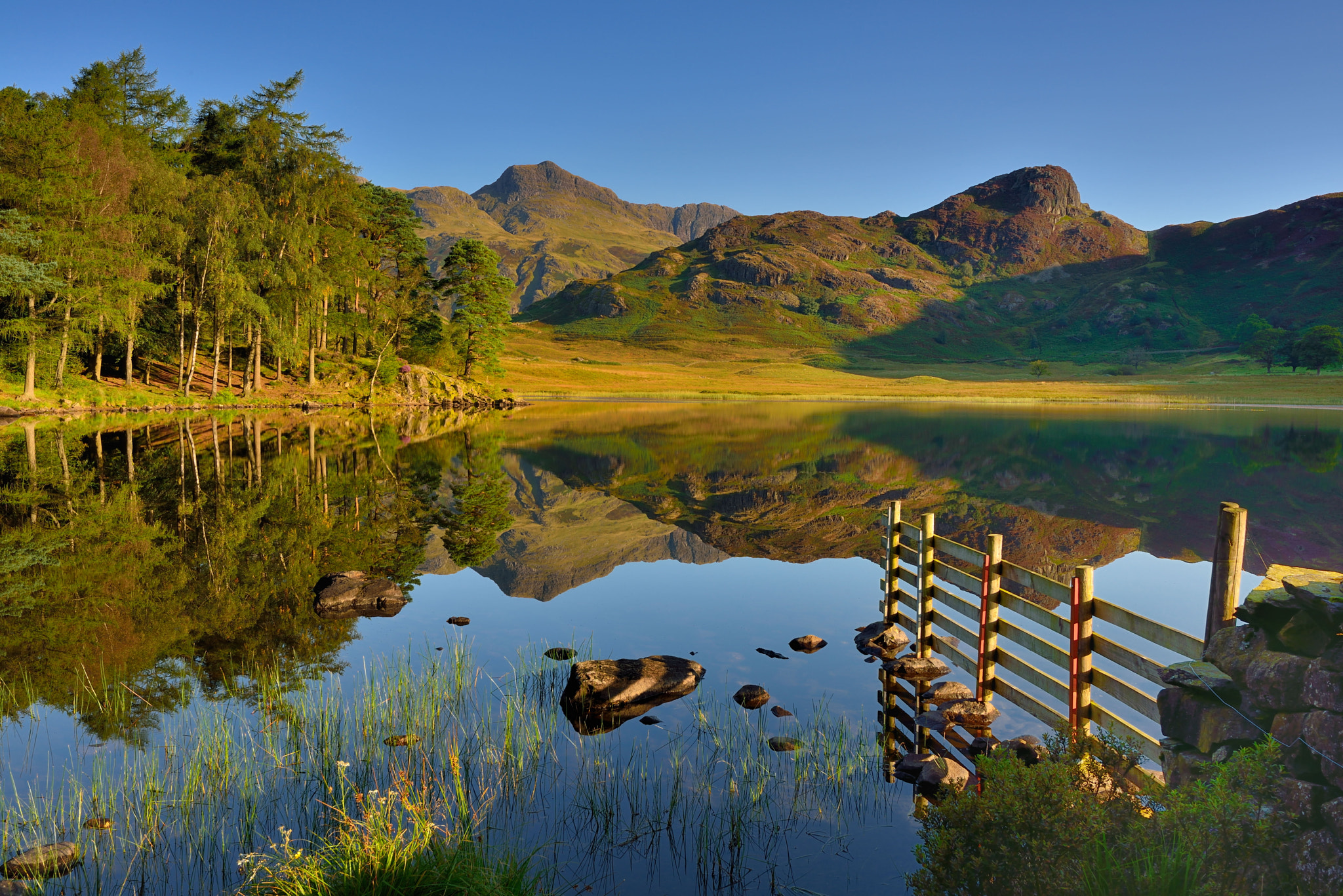 Nikon D800 + Nikon AF-S Nikkor 16-35mm F4G ED VR sample photo. A golden morning photography