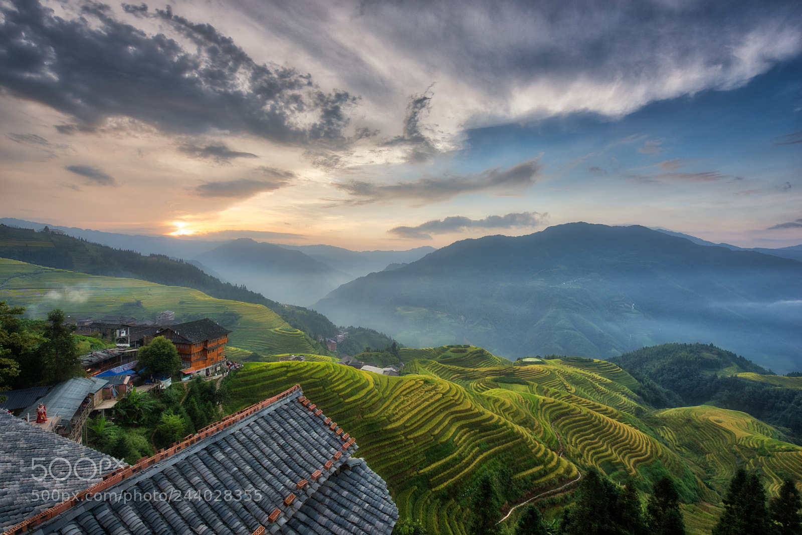 Nikon D810 sample photo. Chinese paddy fields photography