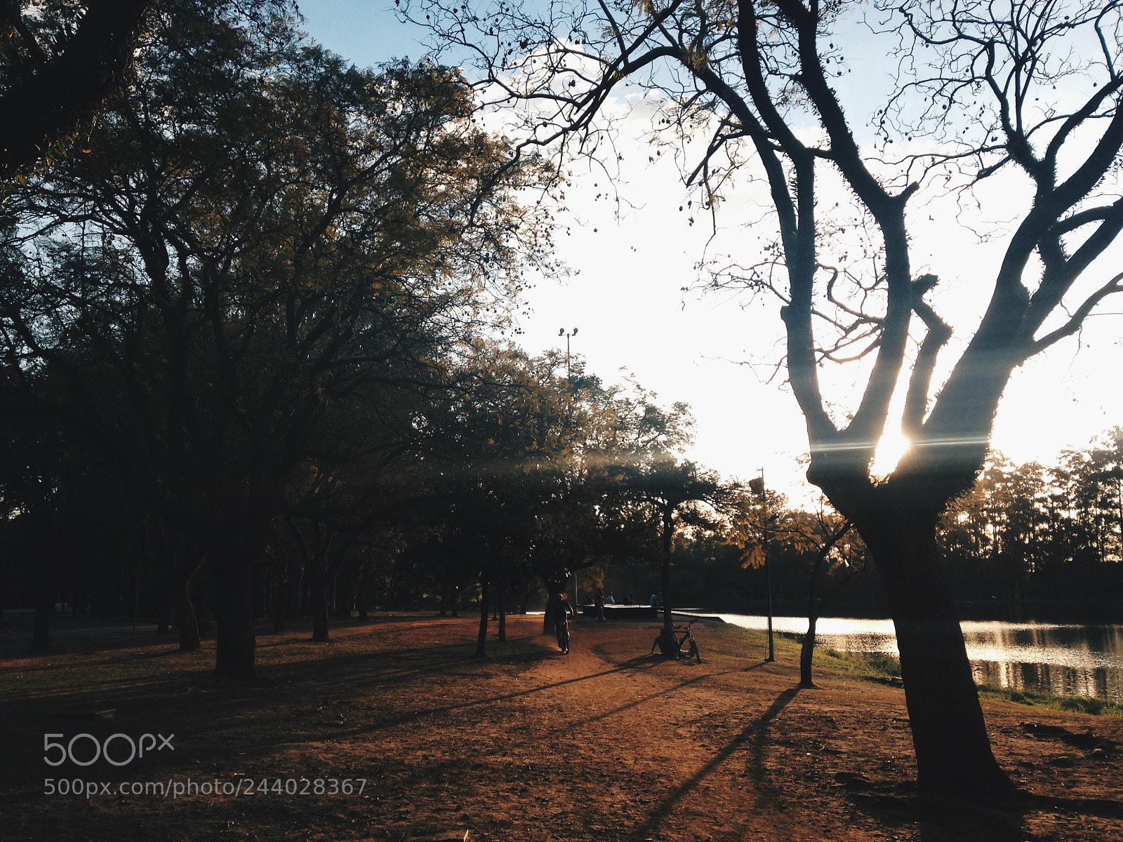 Apple iPhone 5c sample photo. Processed with vsco with photography