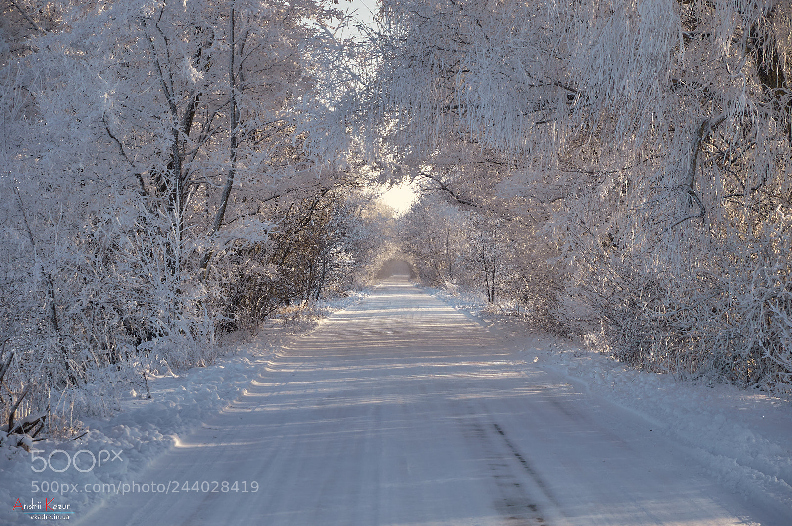Nikon D300 sample photo. Winter snowy tunnel photography