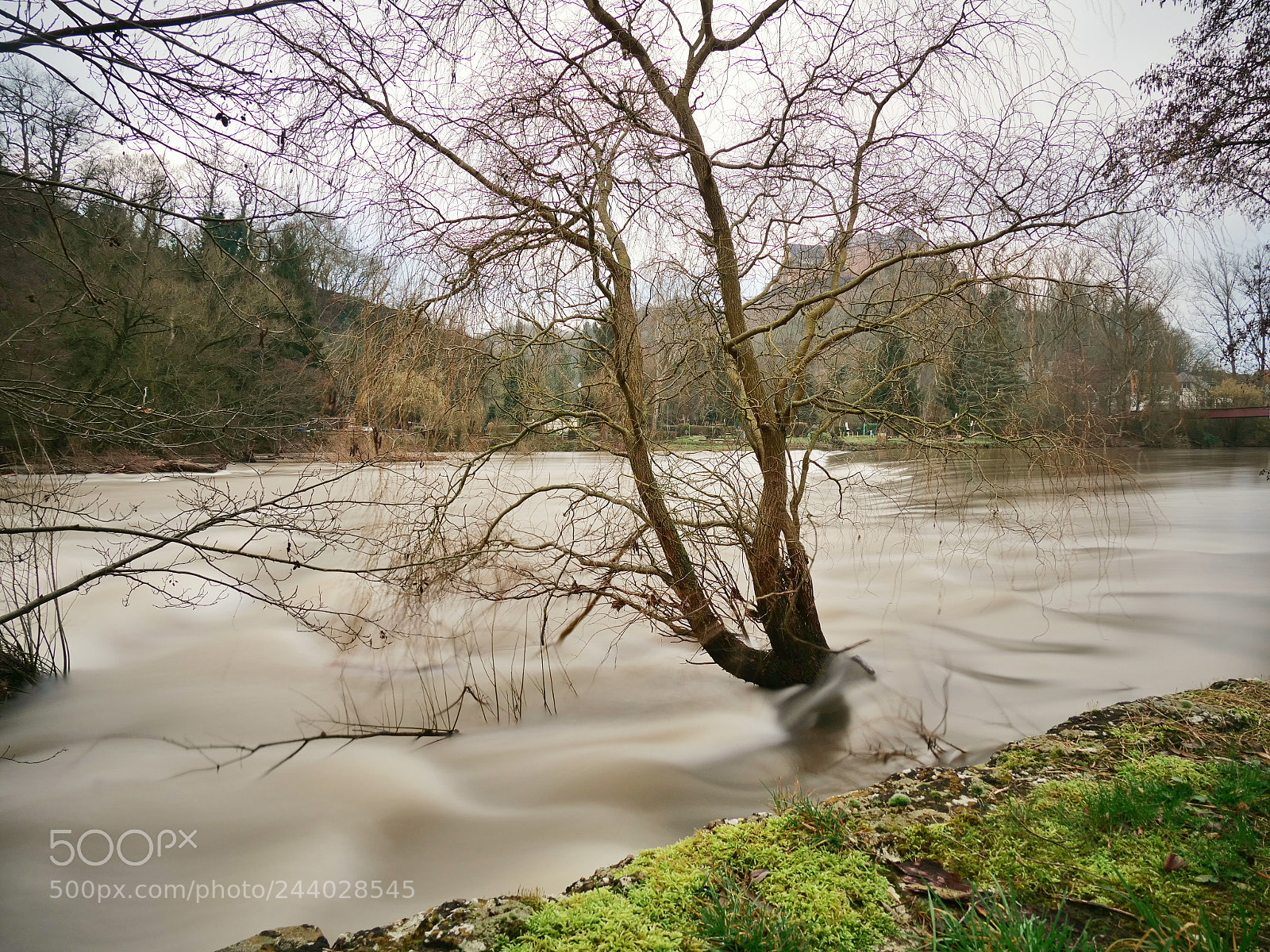 Panasonic Lumix DC-G9 sample photo. River flows photography