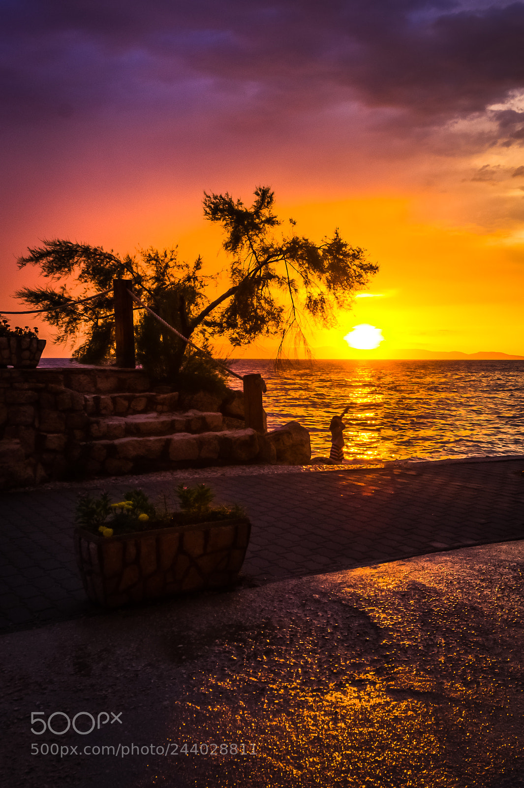 Sony SLT-A58 sample photo. Magic sunset! photography