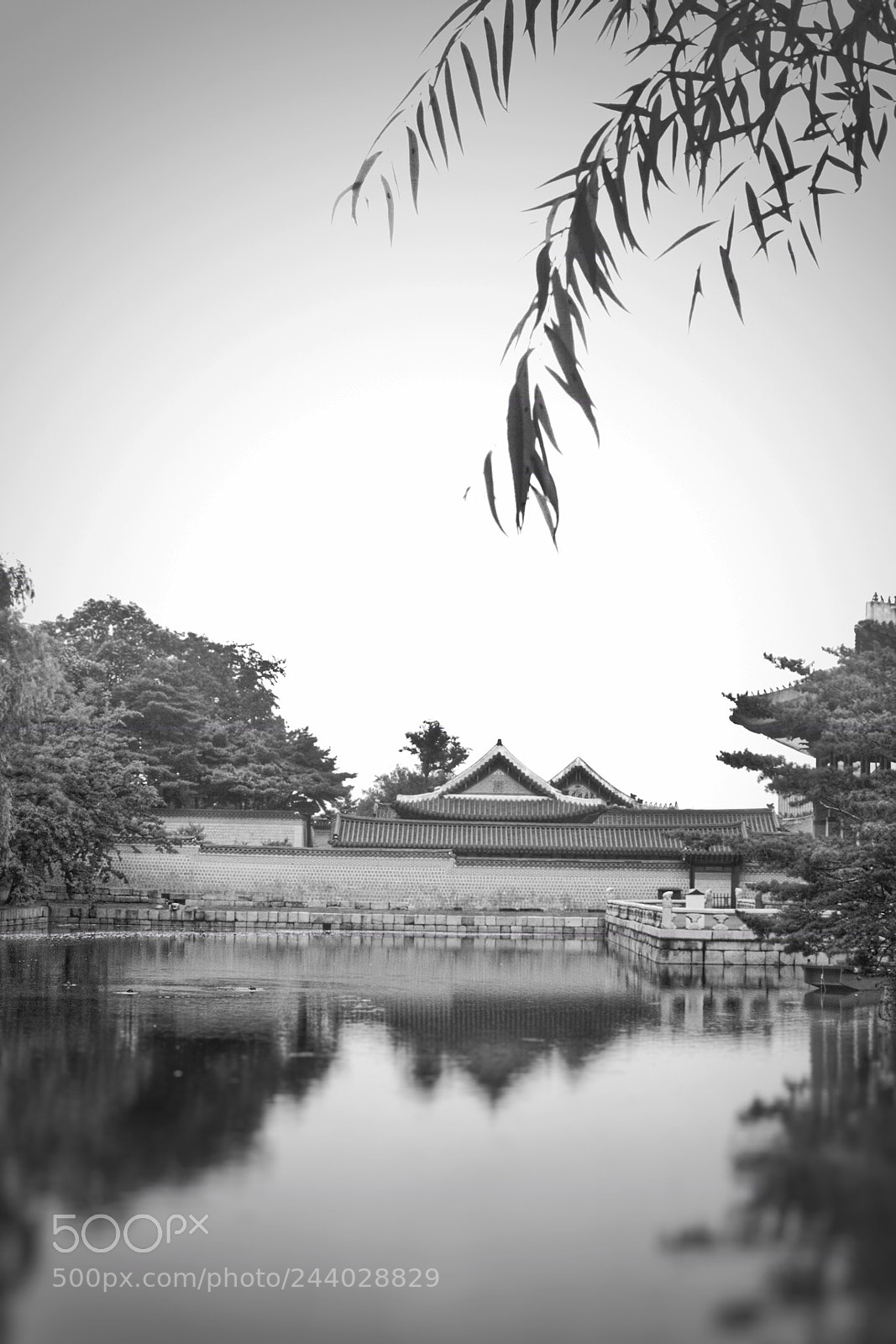 Canon EOS 500D (EOS Rebel T1i / EOS Kiss X3) sample photo. Gyeongbokgung  #2 photography