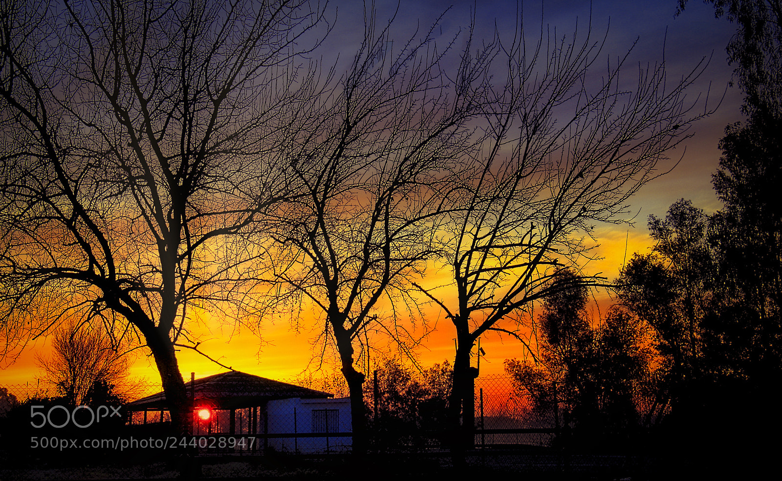 Canon EOS 550D (EOS Rebel T2i / EOS Kiss X4) sample photo. Amanecer dorado photography