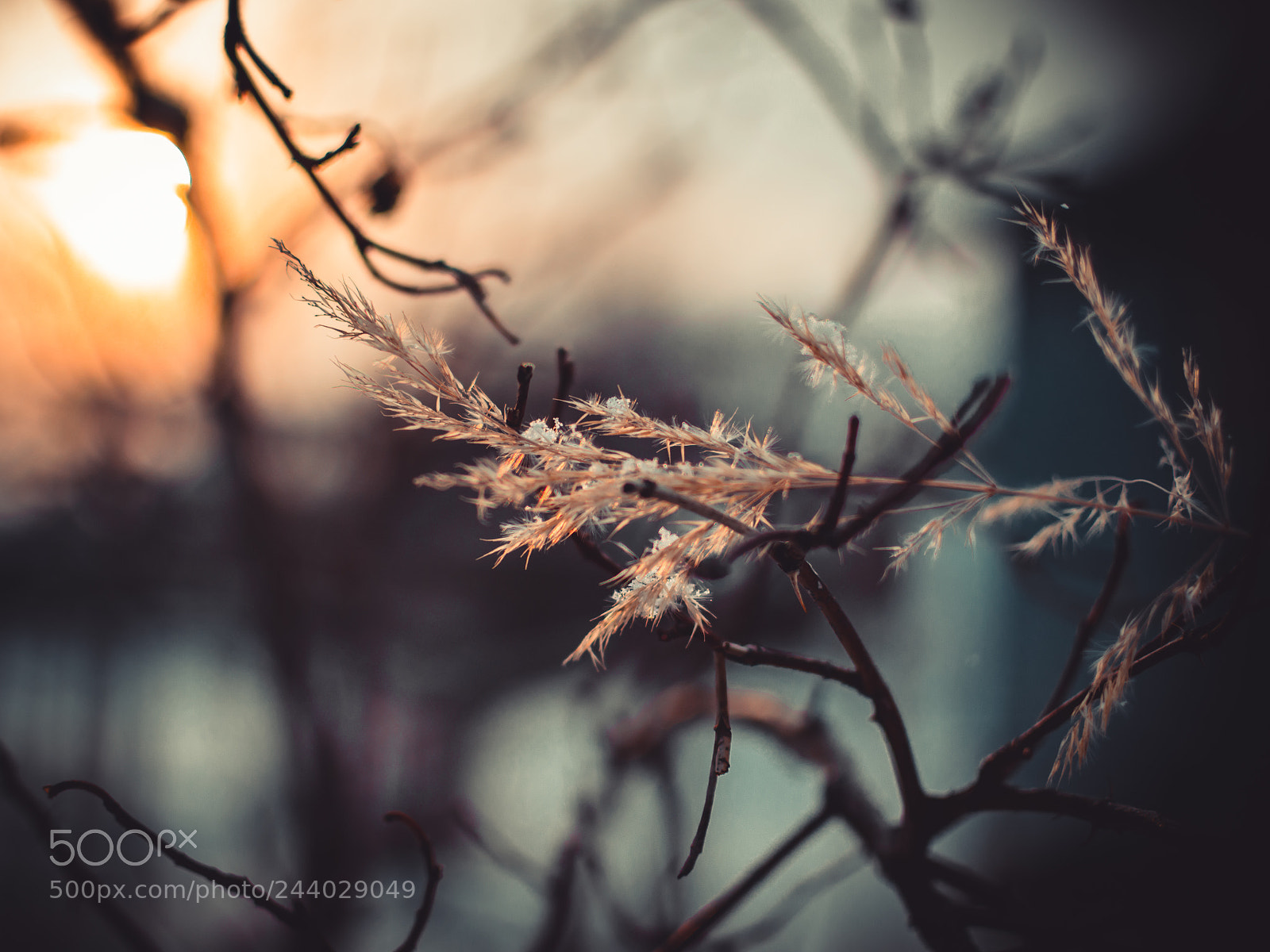 Nikon D3200 sample photo. Winter sunset photography