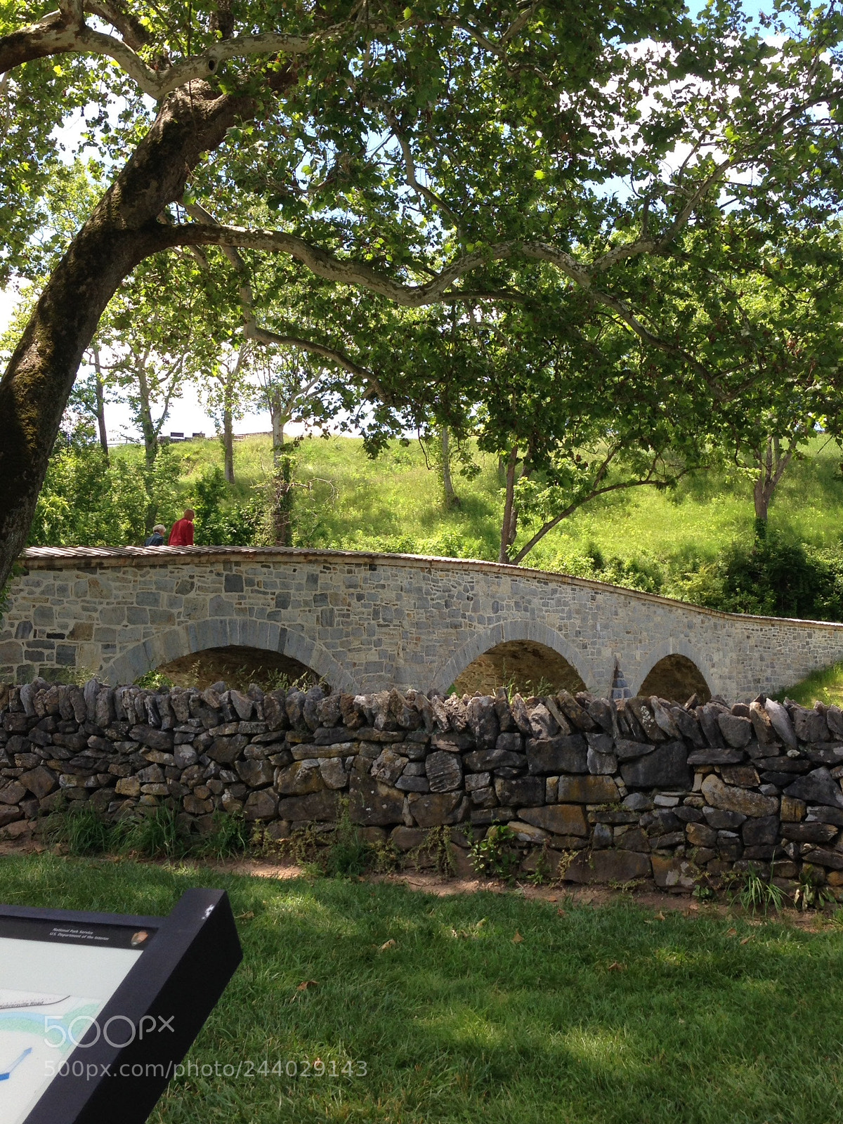 Apple iPhone 5 sample photo. Cunningham bridge photography