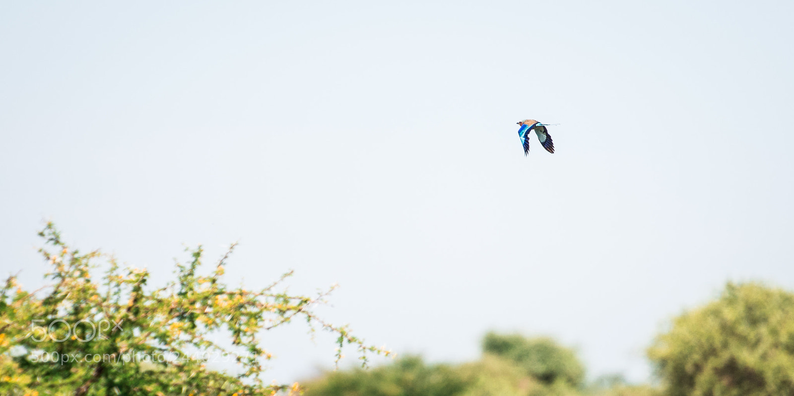 Nikon D810 sample photo. Africa do sul-174.jpg photography