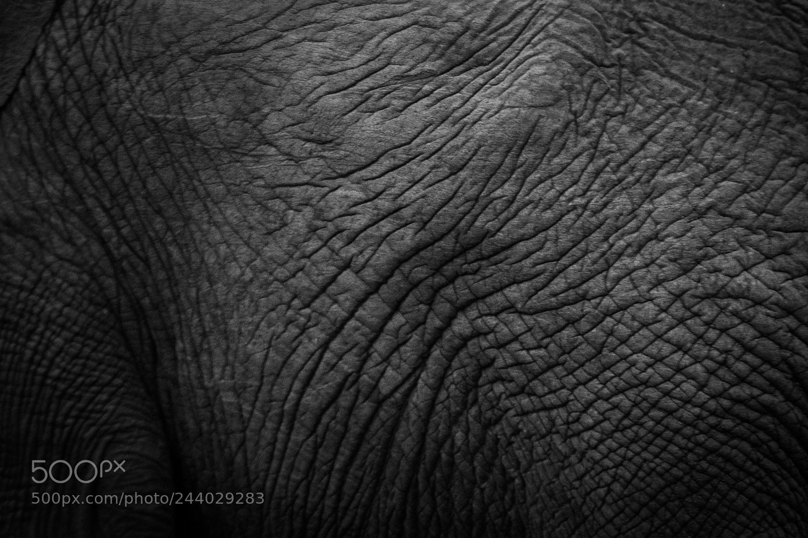 Nikon D810 sample photo. Africa do sul-33.jpg photography