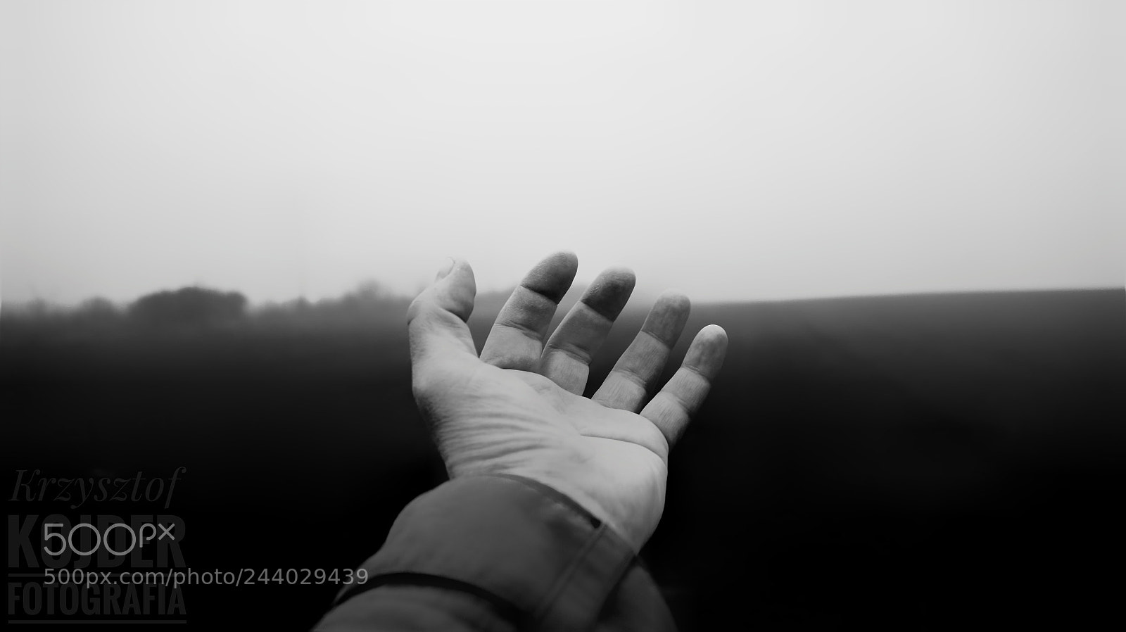 Sony SLT-A58 sample photo. Hand photography