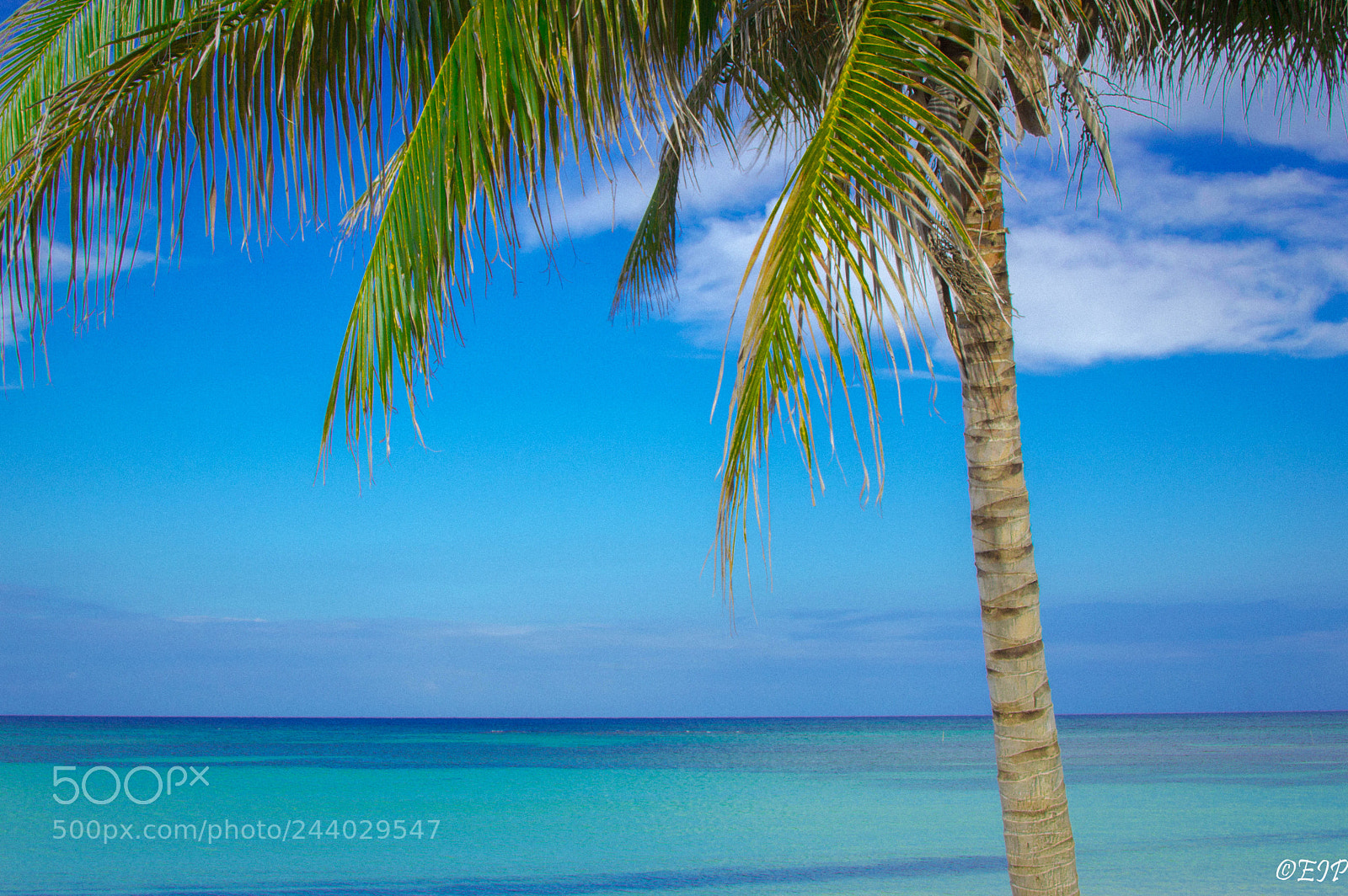 Nikon D3200 sample photo. Paradise v photography