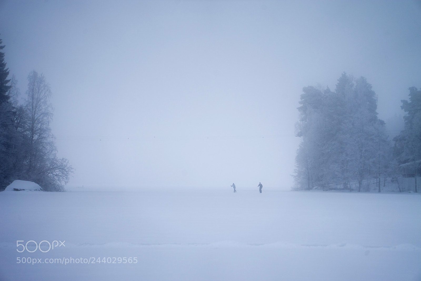 Sony a7S sample photo. Winter photography