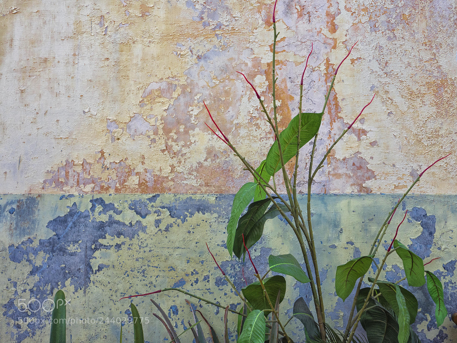 Olympus OM-D E-M5 II sample photo. Textura photography