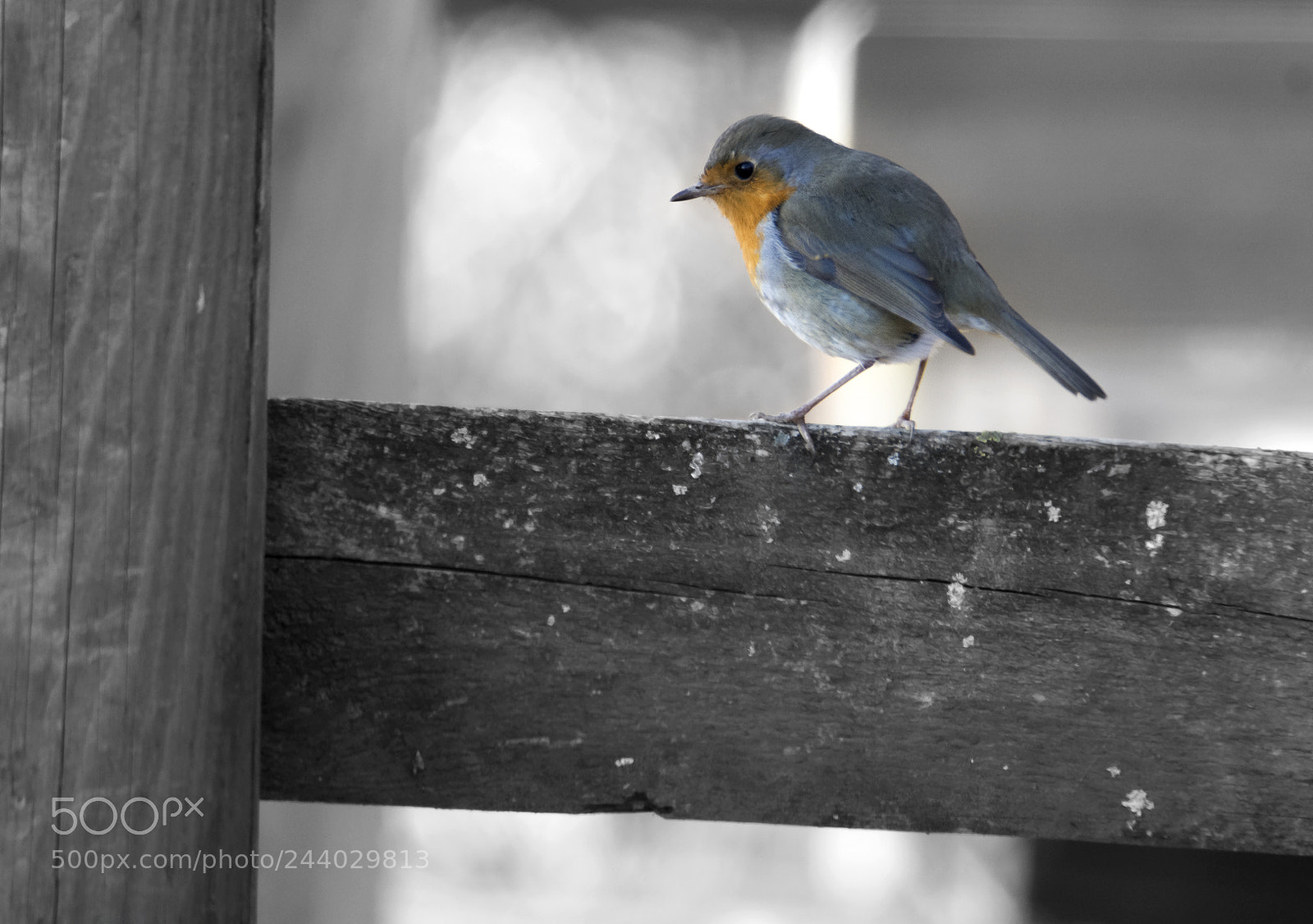 Nikon D7100 sample photo. Ascisse e ordinate photography