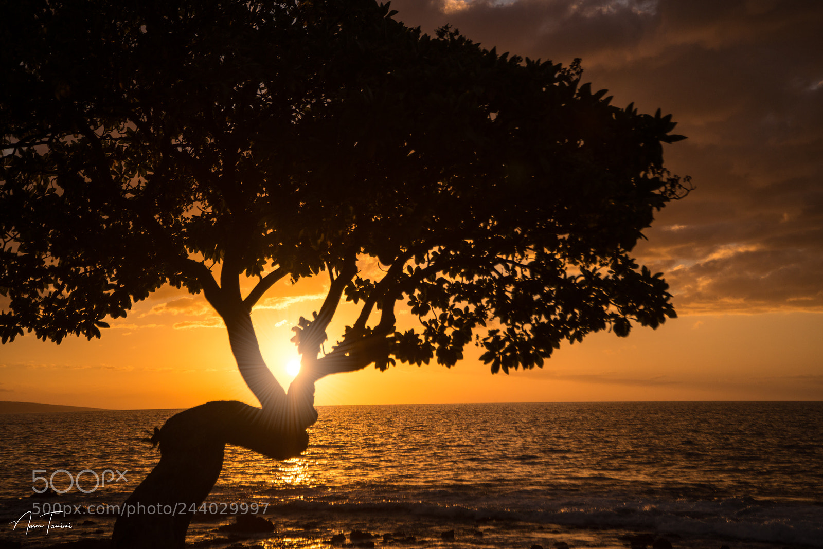Nikon D600 sample photo. Sunset diamond photography